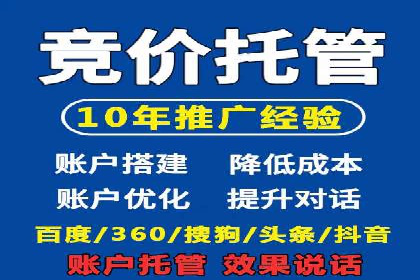 成功运用SEM技术提升网站流量的案例研究